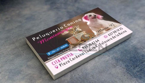 Diseño e Impresión Tarjetas Visita Peluquería Canina Montemayor