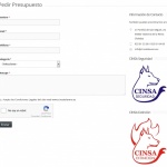 Desarrollo WEB Dinámica CINSA Talavera